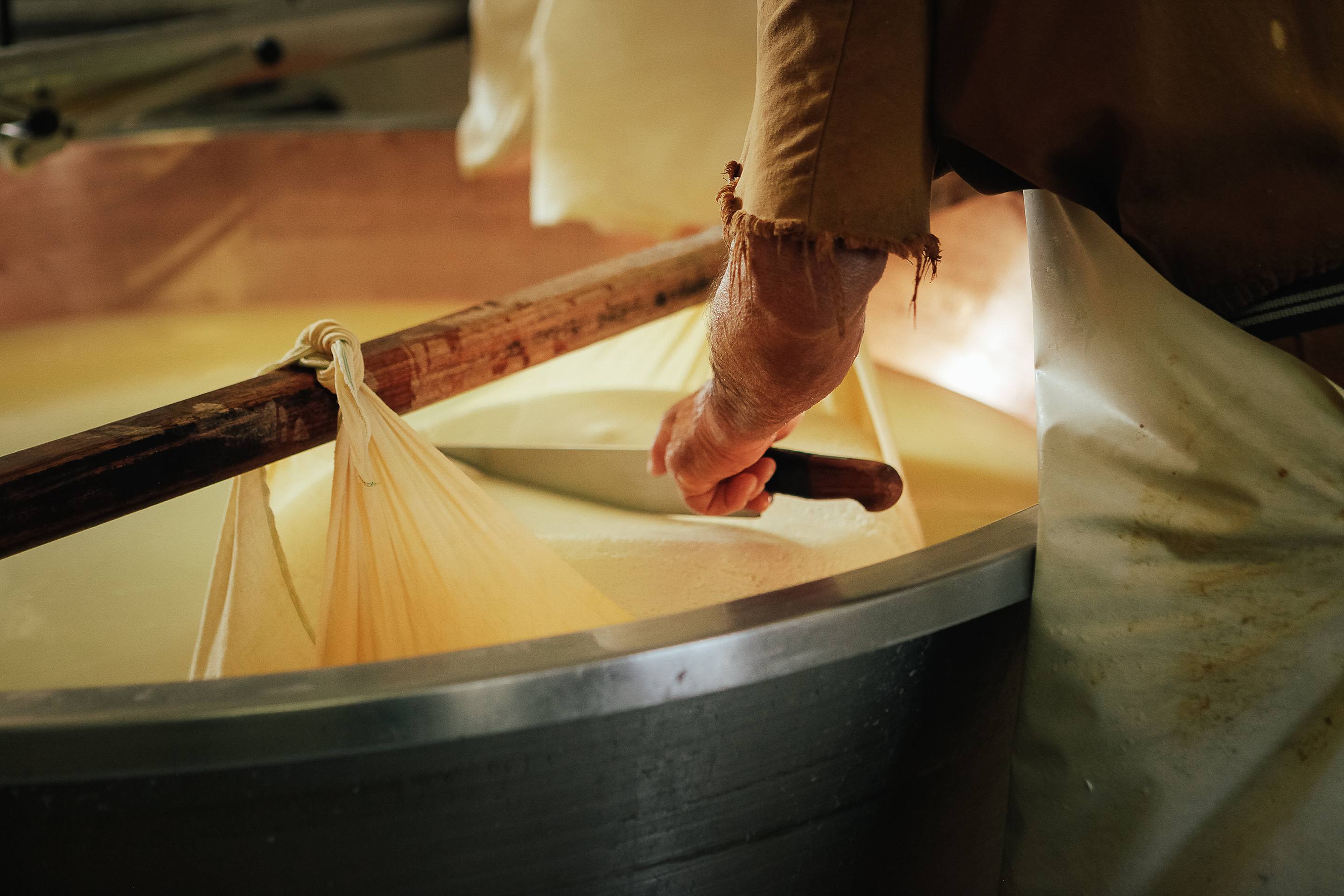 cheese making