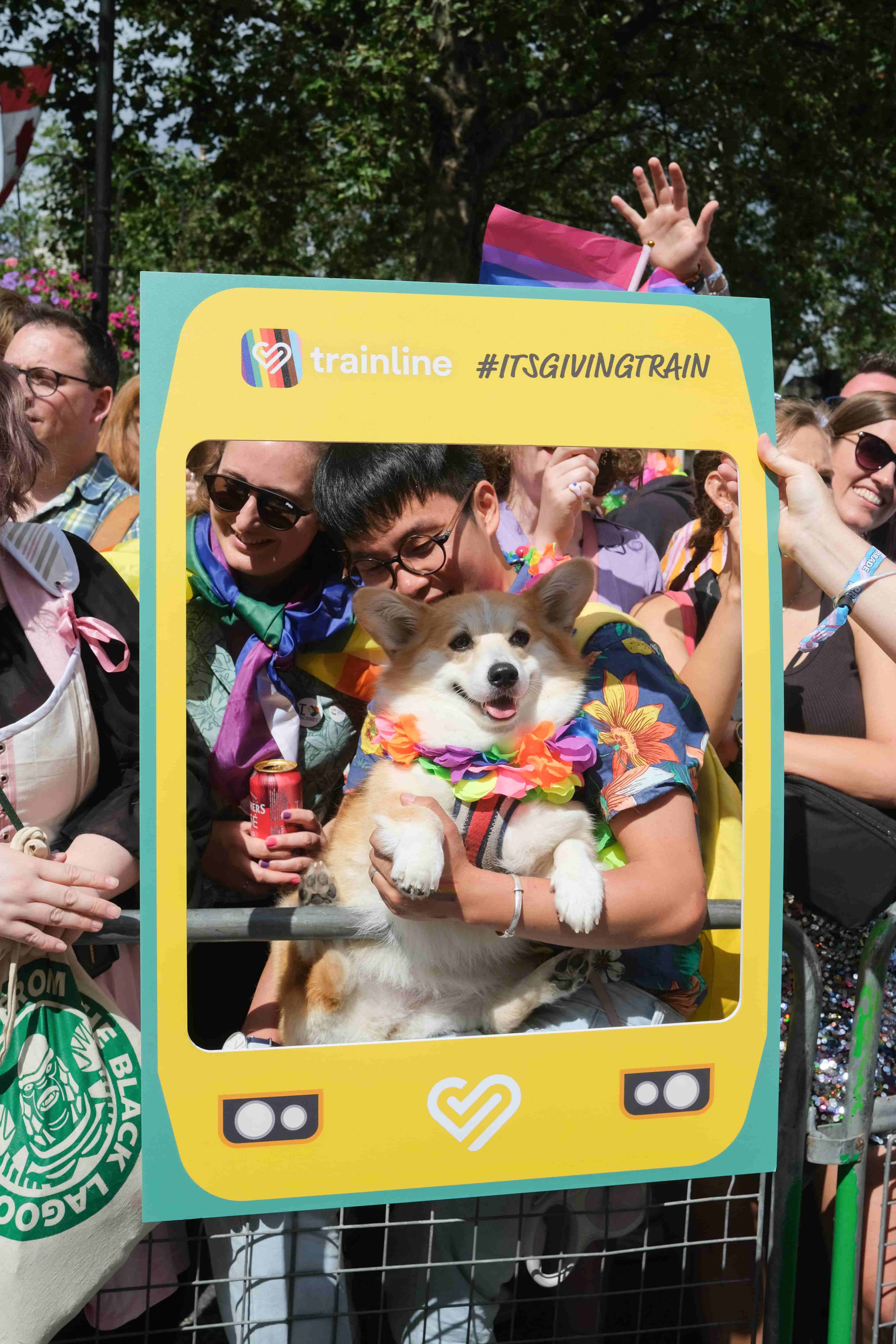 Dog at a Pride event in London