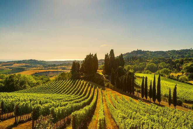 Casale Marittimo village, vineyards and landscape in Maremma. Tuscany, Italy.
