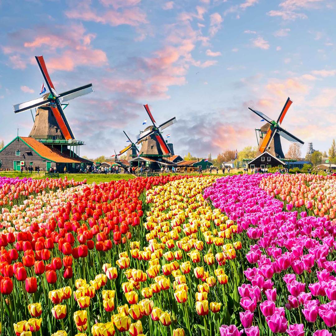Netherlands itinerary See the best of the Netherlands Trainline