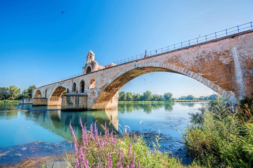 avignon