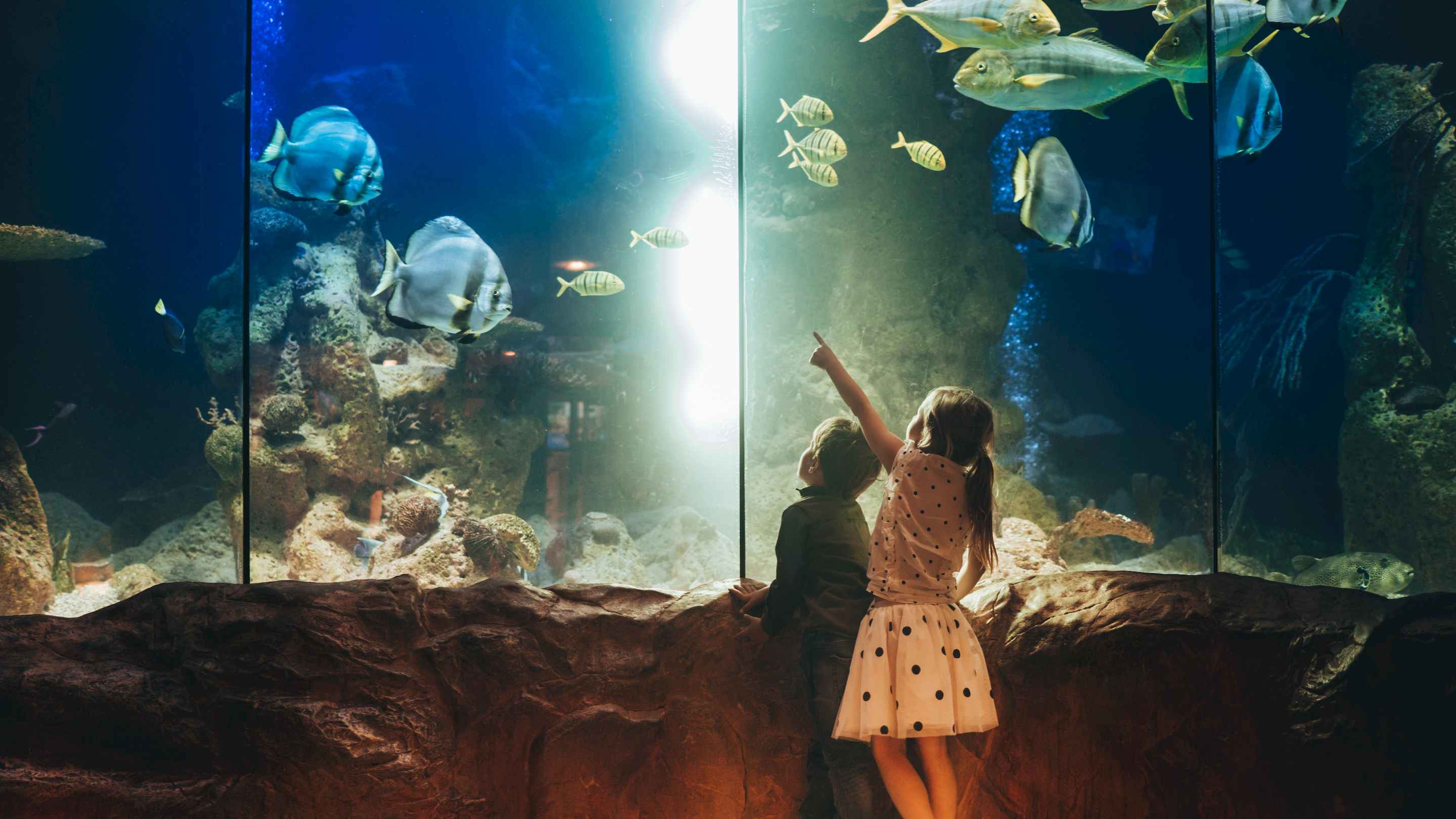 Children at aquarium