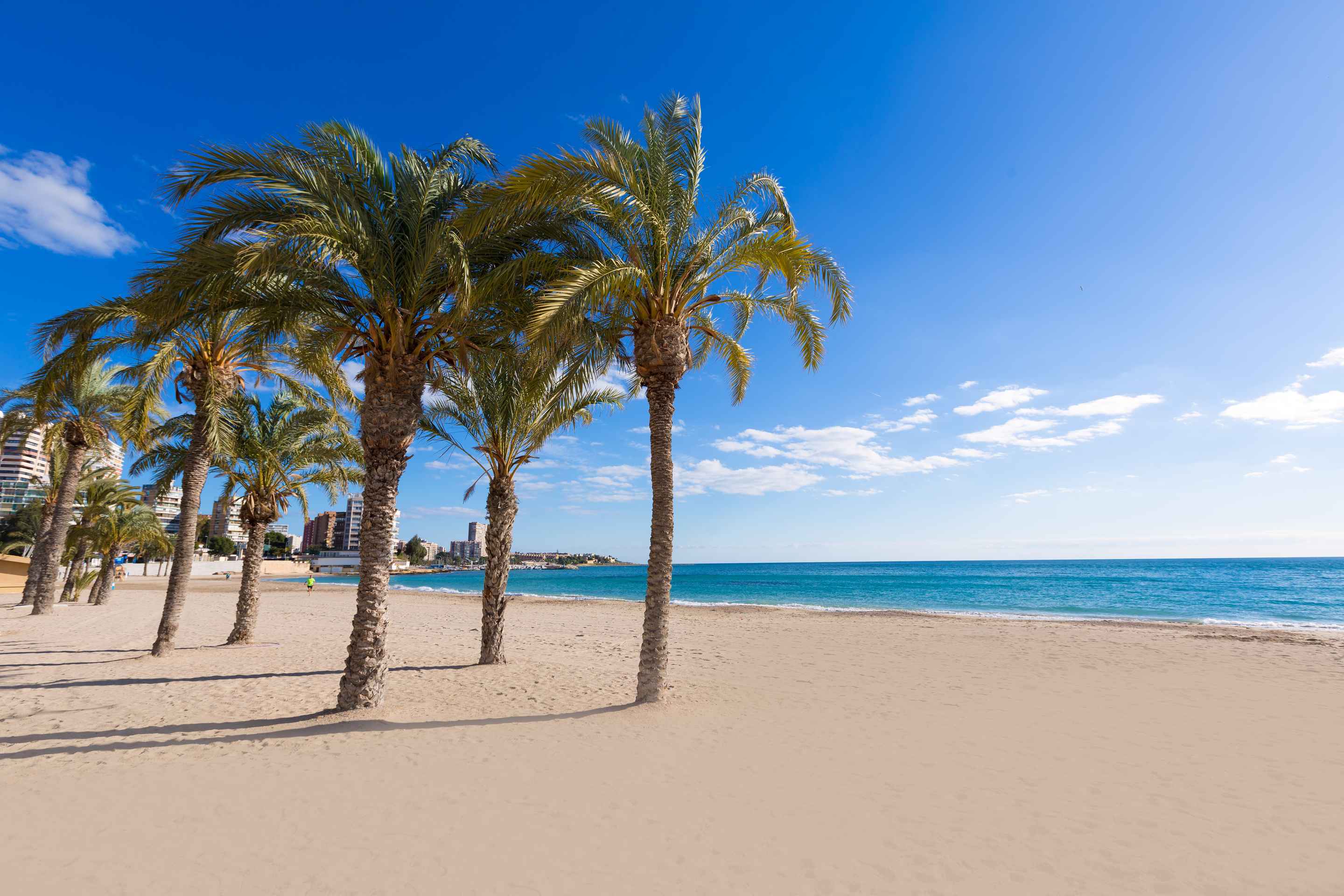 playa albufereta alicante