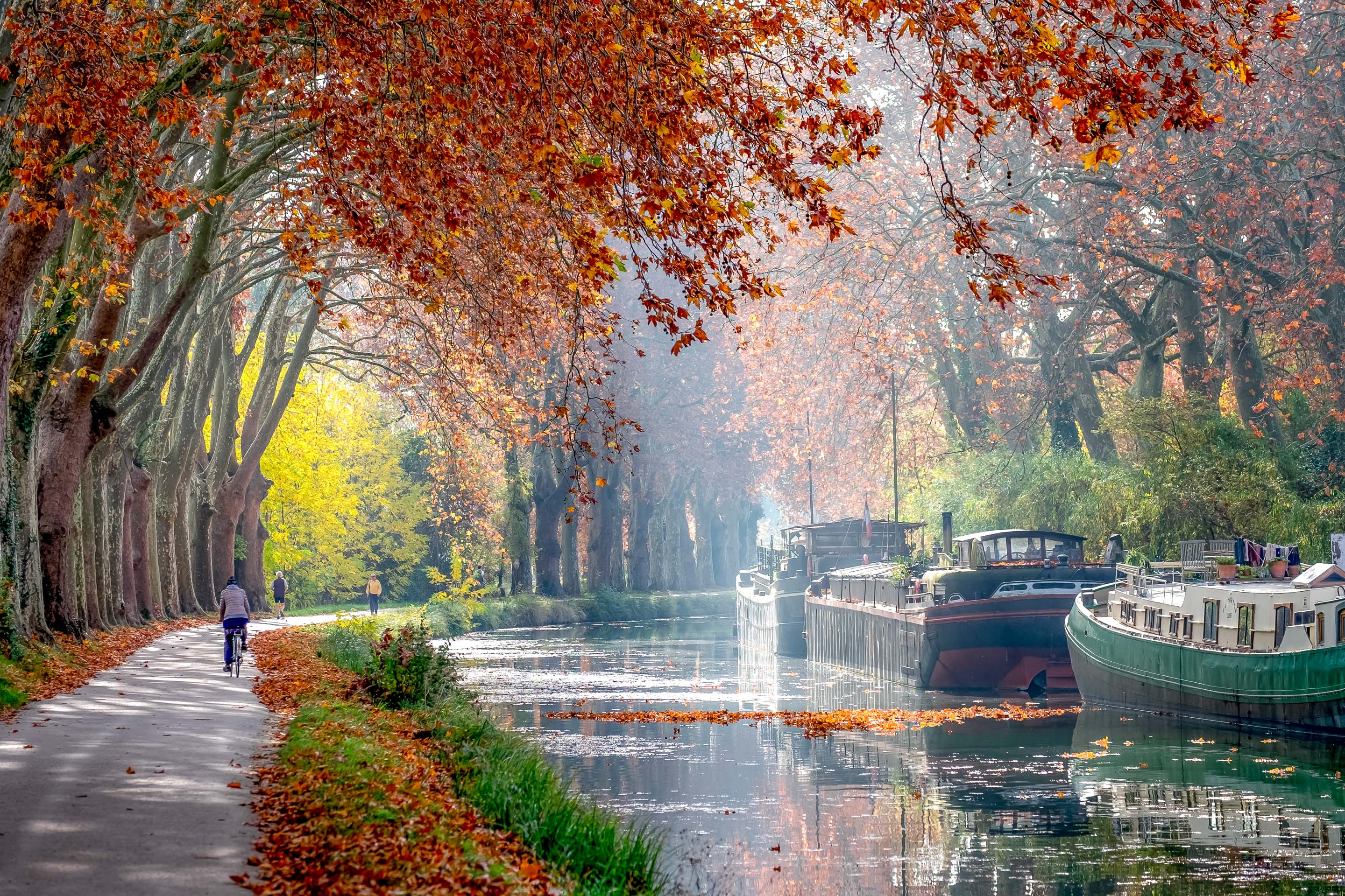 Train Paris Toulouse Pas Cher Des 5 70 Tgv Ouigo Trainline