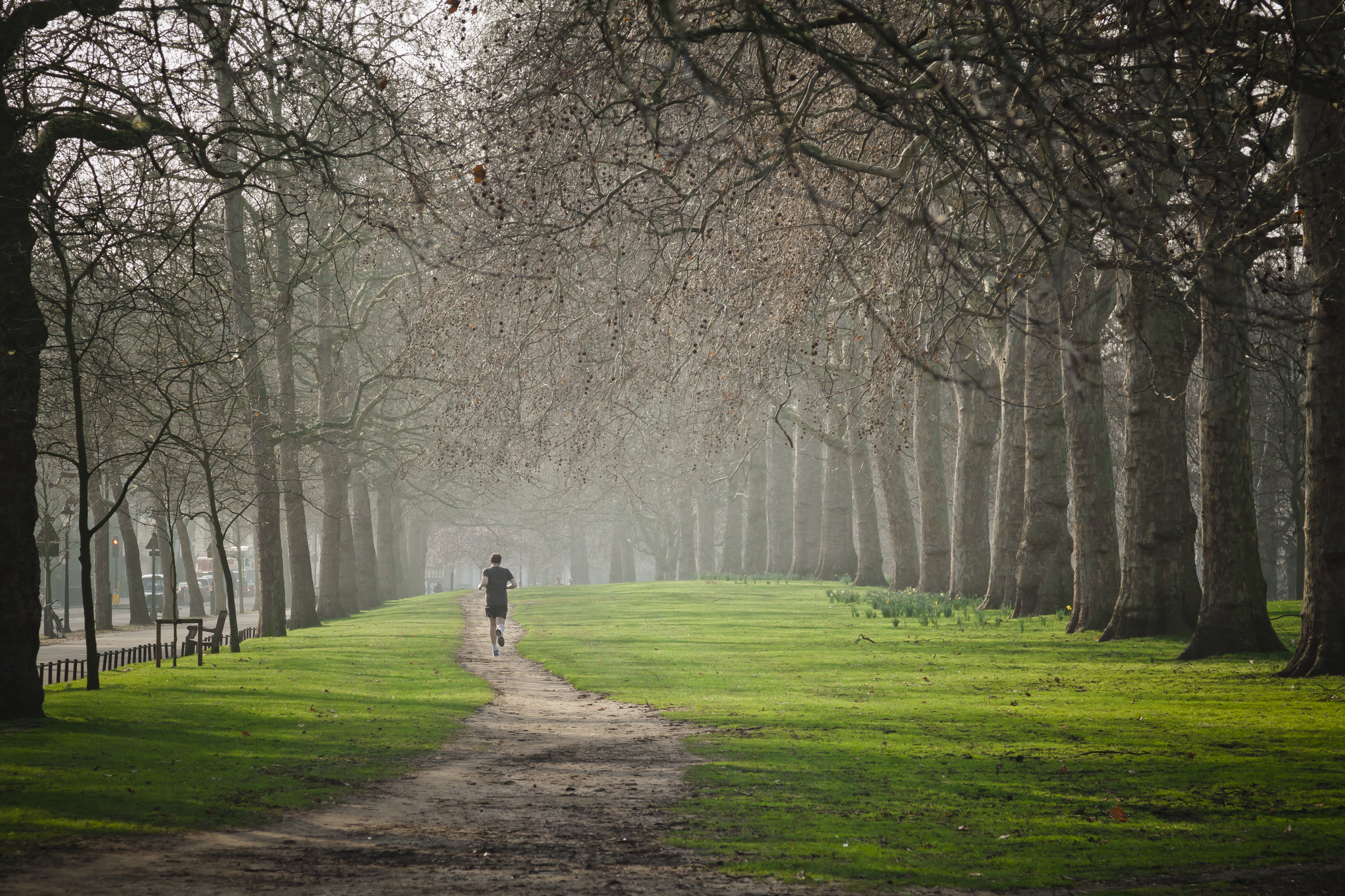 Person walks on footpath beneath trees in Hyde Park in London, UK