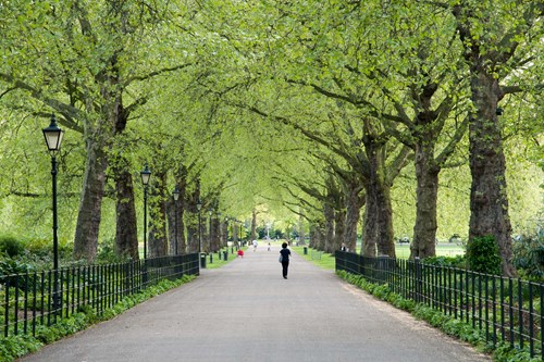 Battersea Park in London