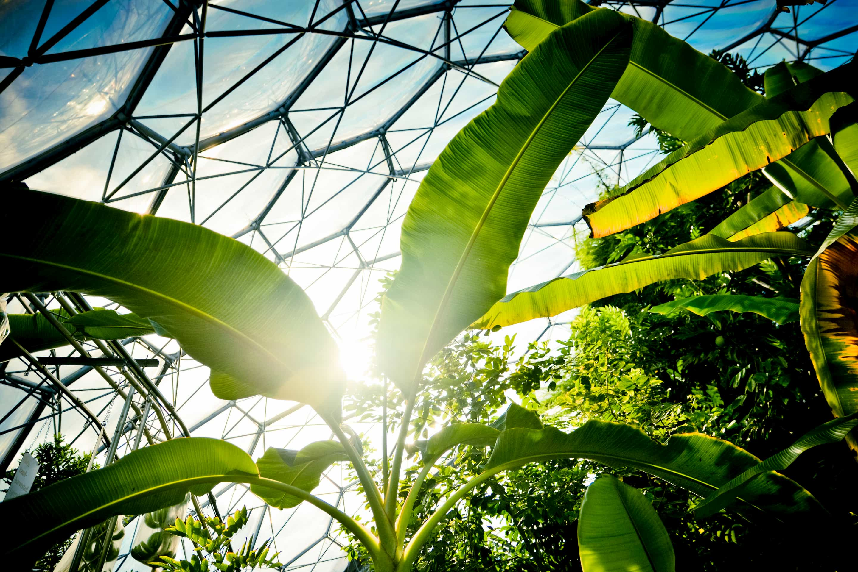 Eden Project in Cornwall