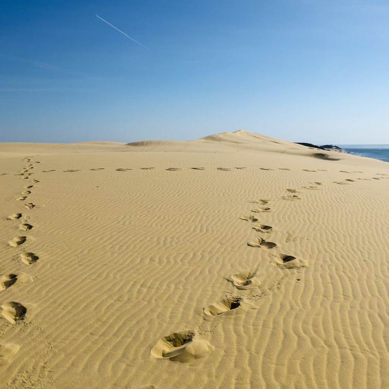 Bordeaux A Dune Du Pilat En Train Comment Y Aller Trainline