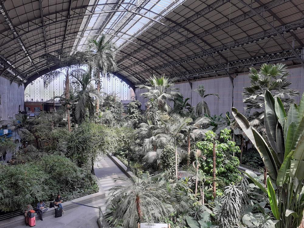 Tropical garden at Madrid Atocha station