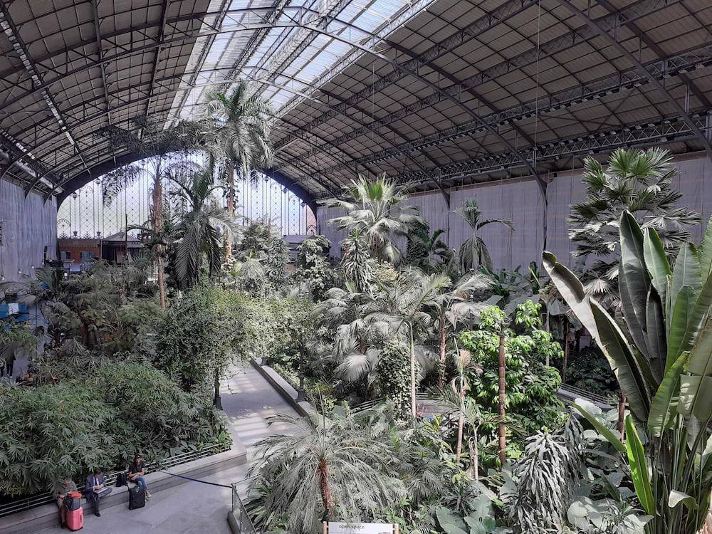 Tropical garden at Madrid atocha station