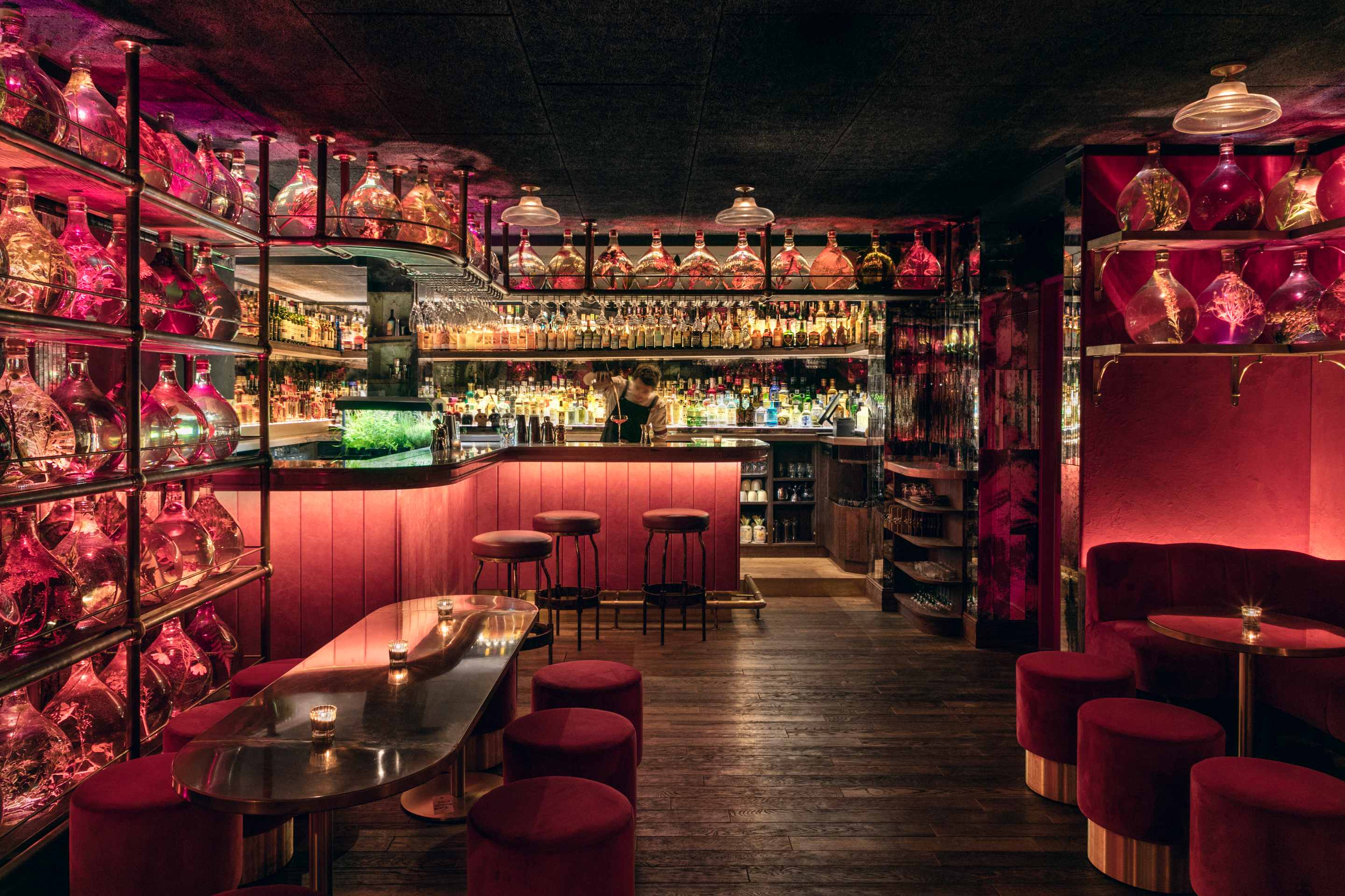 paris speakeasy bars dress code paris speakeasy paris list popular Top 5 Paris Speakeasies for an Exciting Night Out  Curls en Route