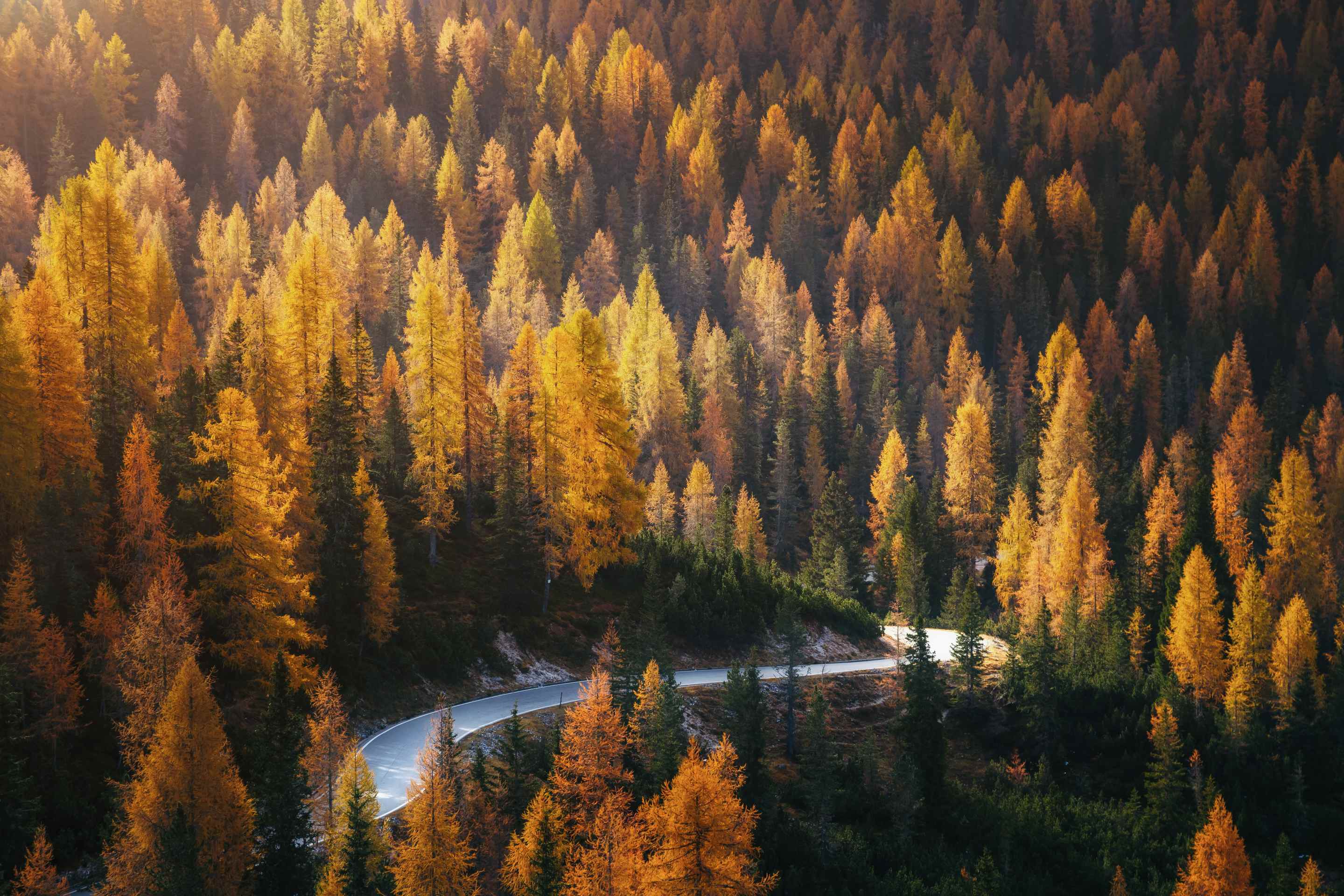 The best places to see fall foliage and leaves in Europe Trainline
