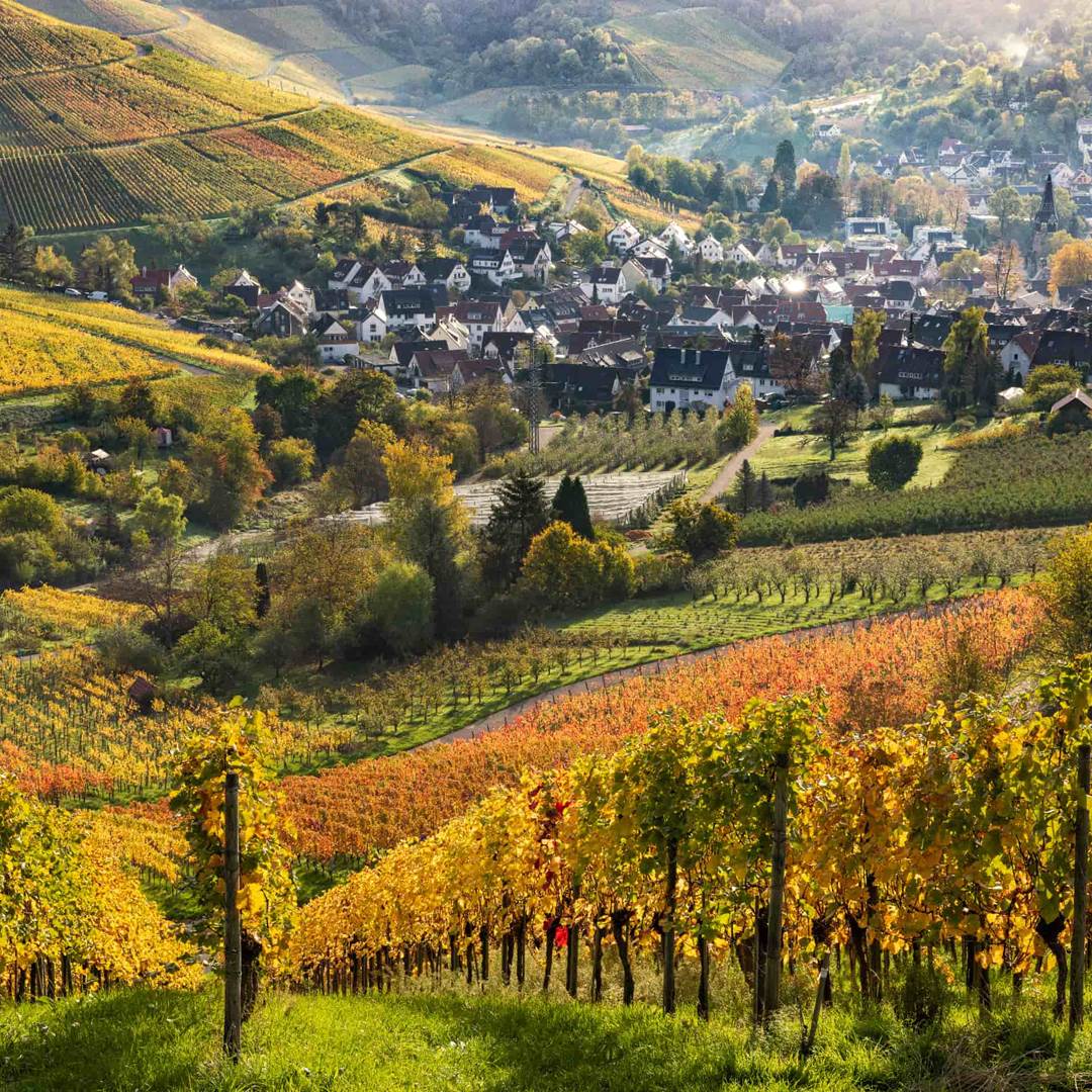 Woman in Stuttgart SEX AGENCY in Stuttgart