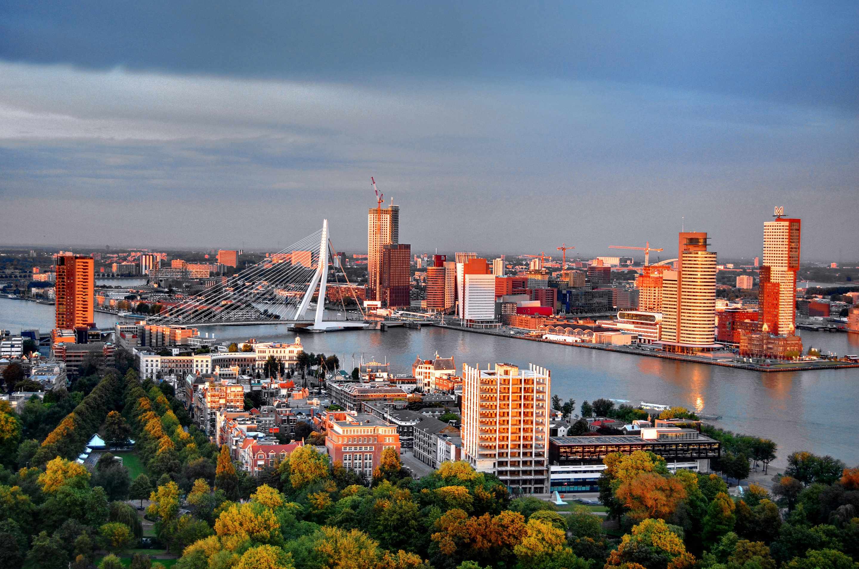 Rotterdam must visit | Exoticviajes.com