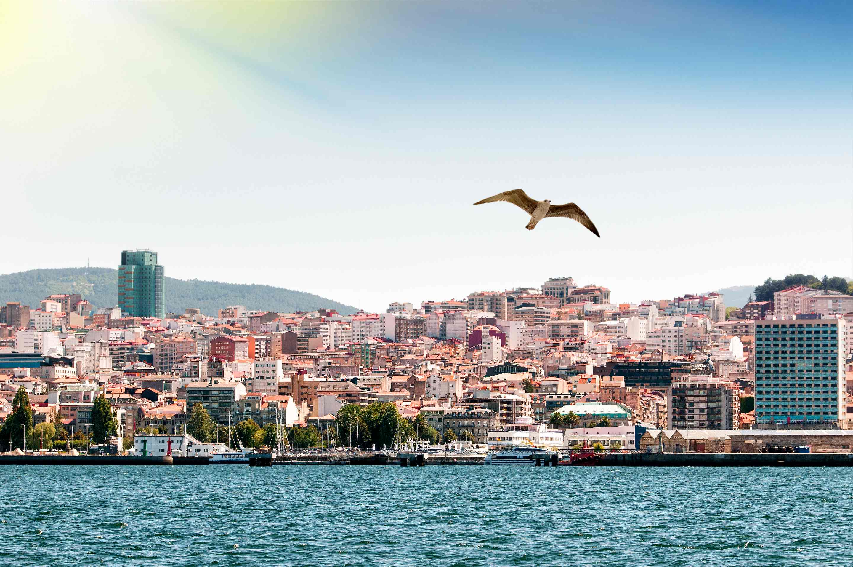 vigo