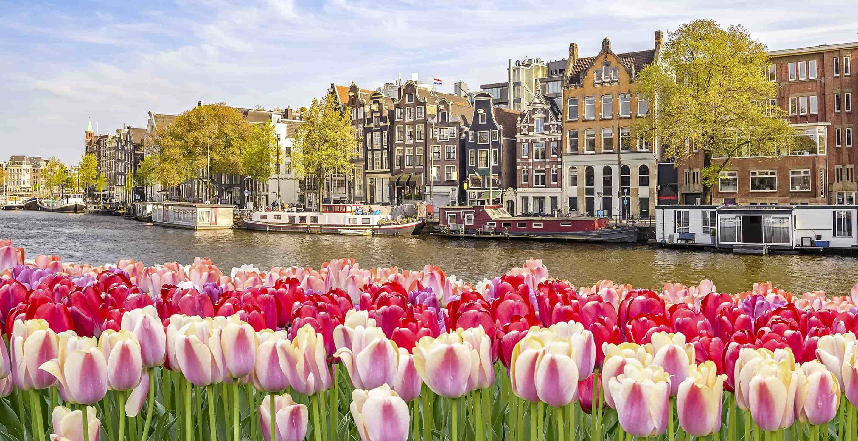 schuur gebaar Resoneer Paris to Amsterdam by Train from €29 | Find Cheap Tickets | Trainline